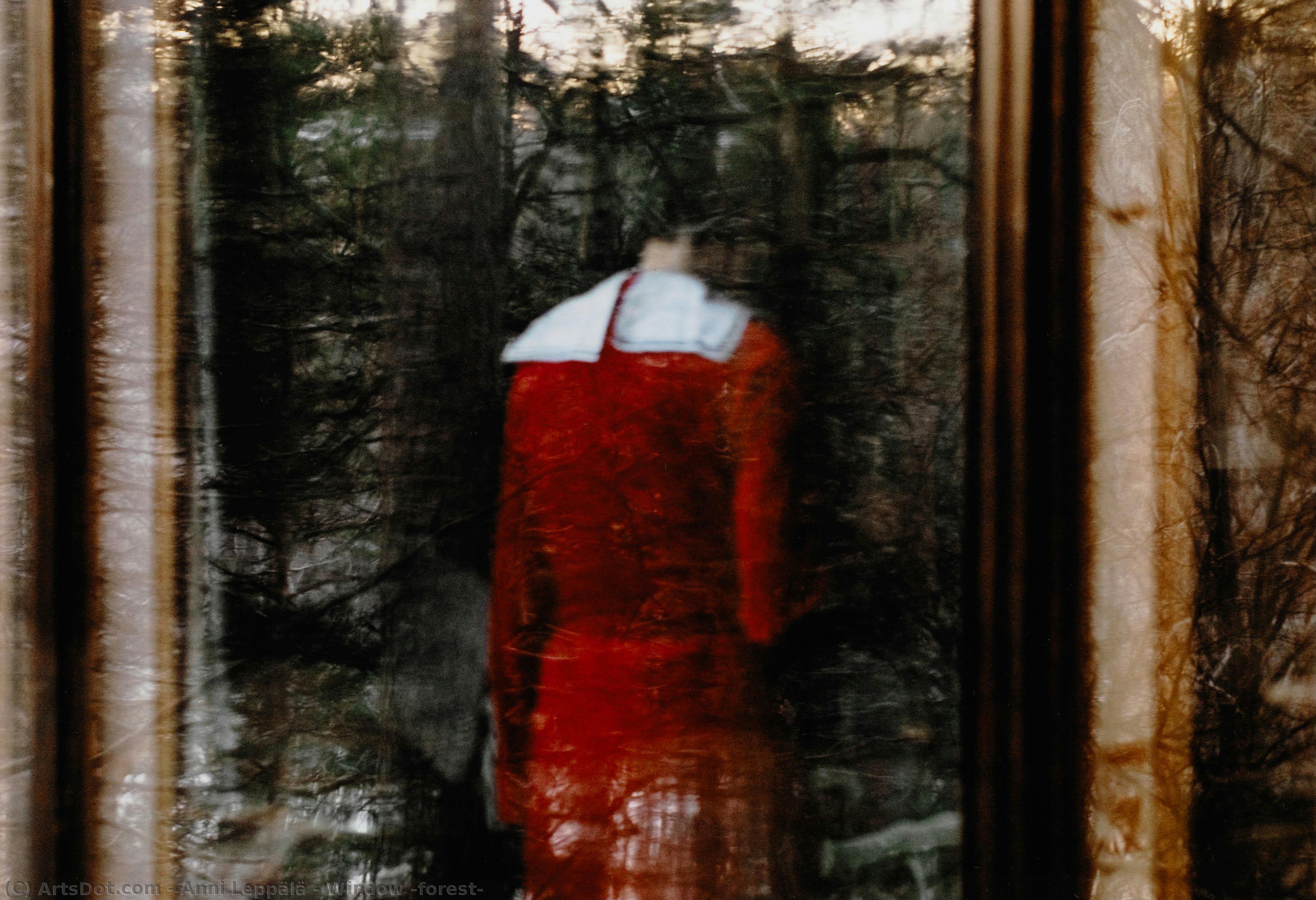 Window (forest) — Anni Leppälä