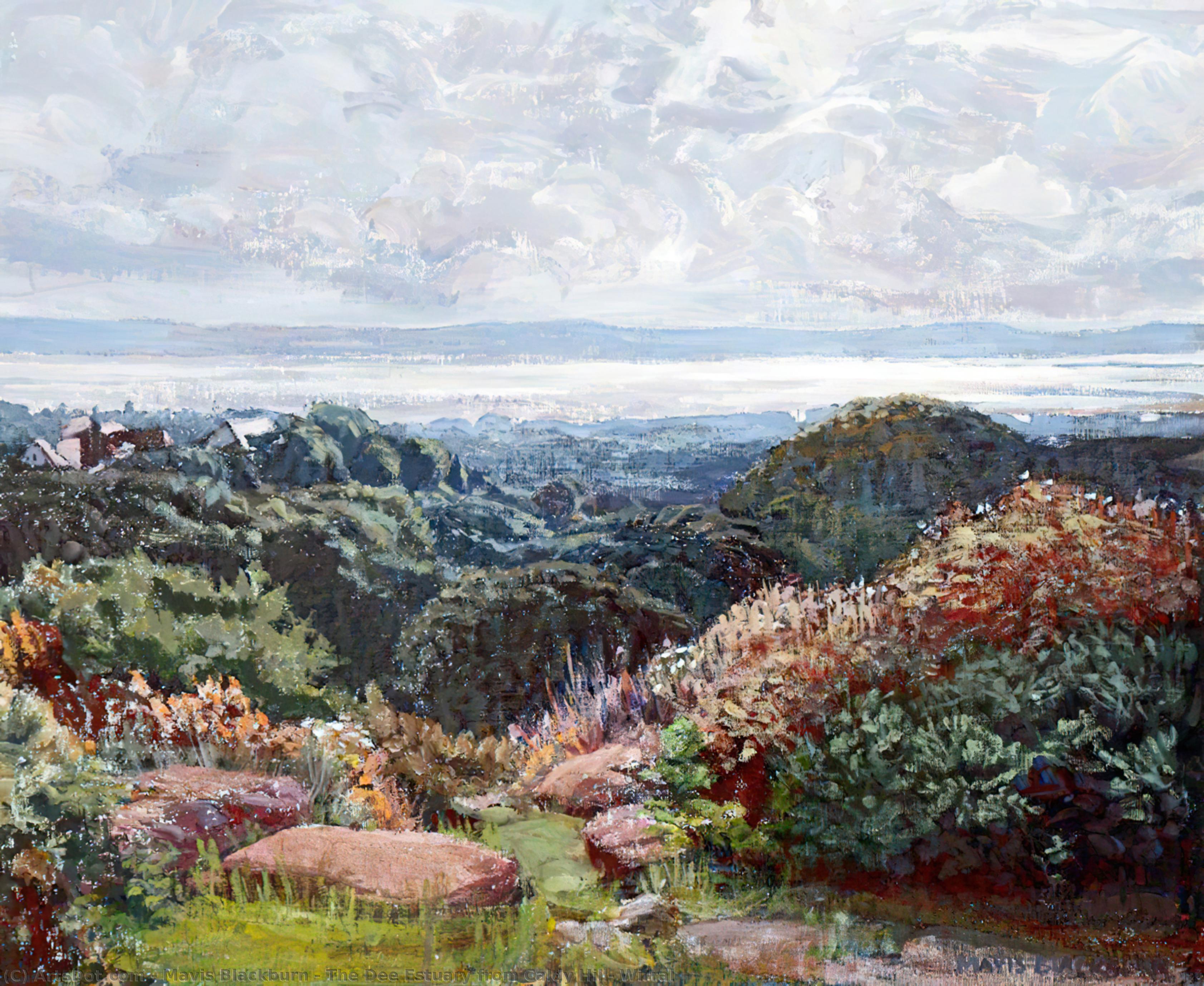 The Dee Estuary From Caldy Hill, Wirral — Mavis Blackburn