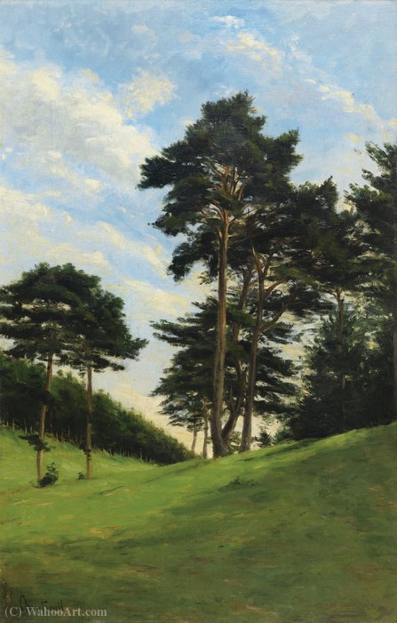 Trees On The Prairie — Antoine Chintreuil