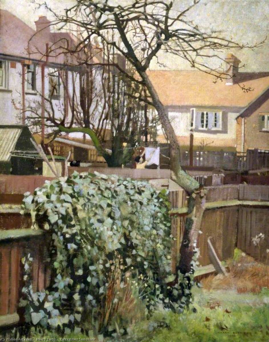 December Sunshine — Harry Bush