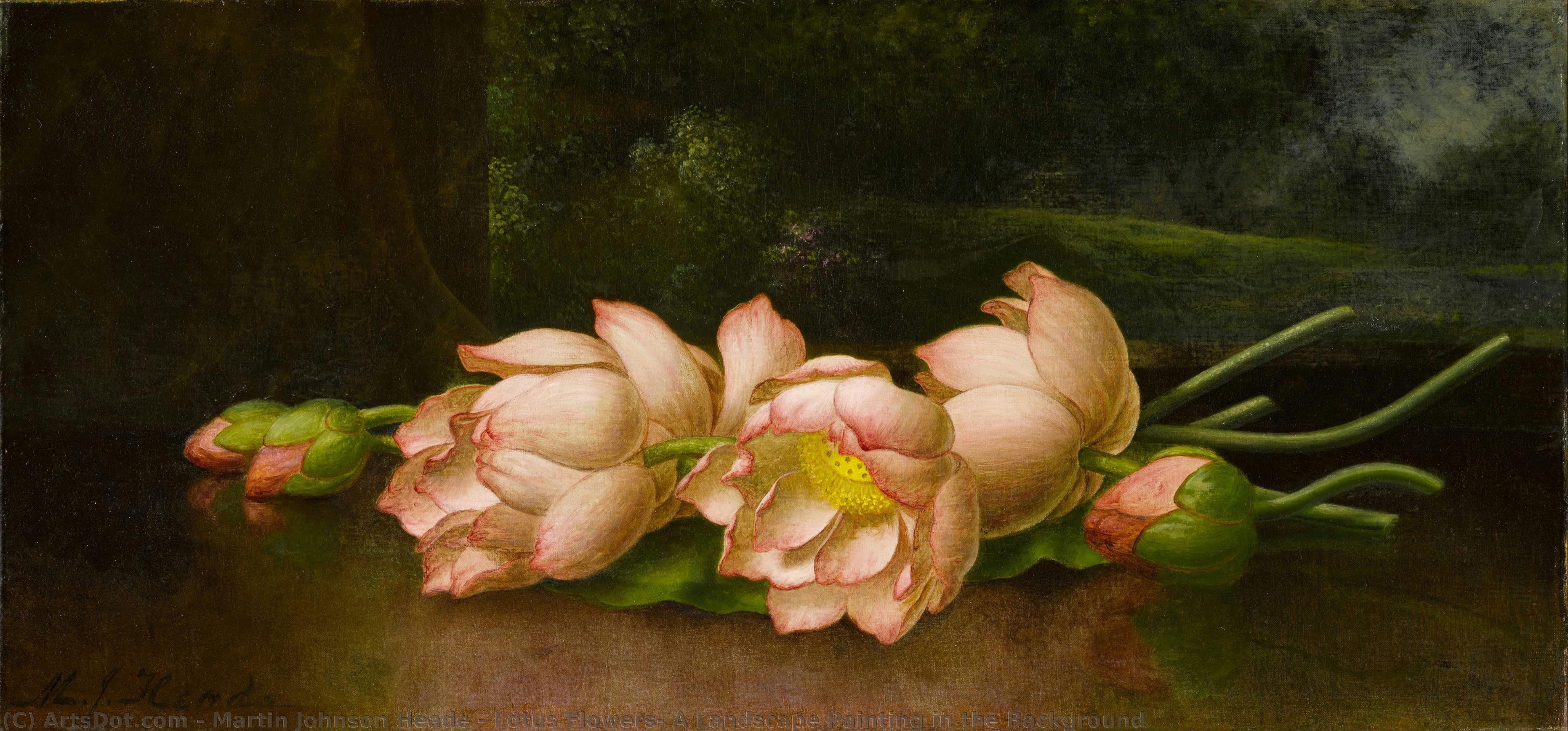 Lotus Flowers: A Landscape Painting In The Background — Martin Johnson Heade