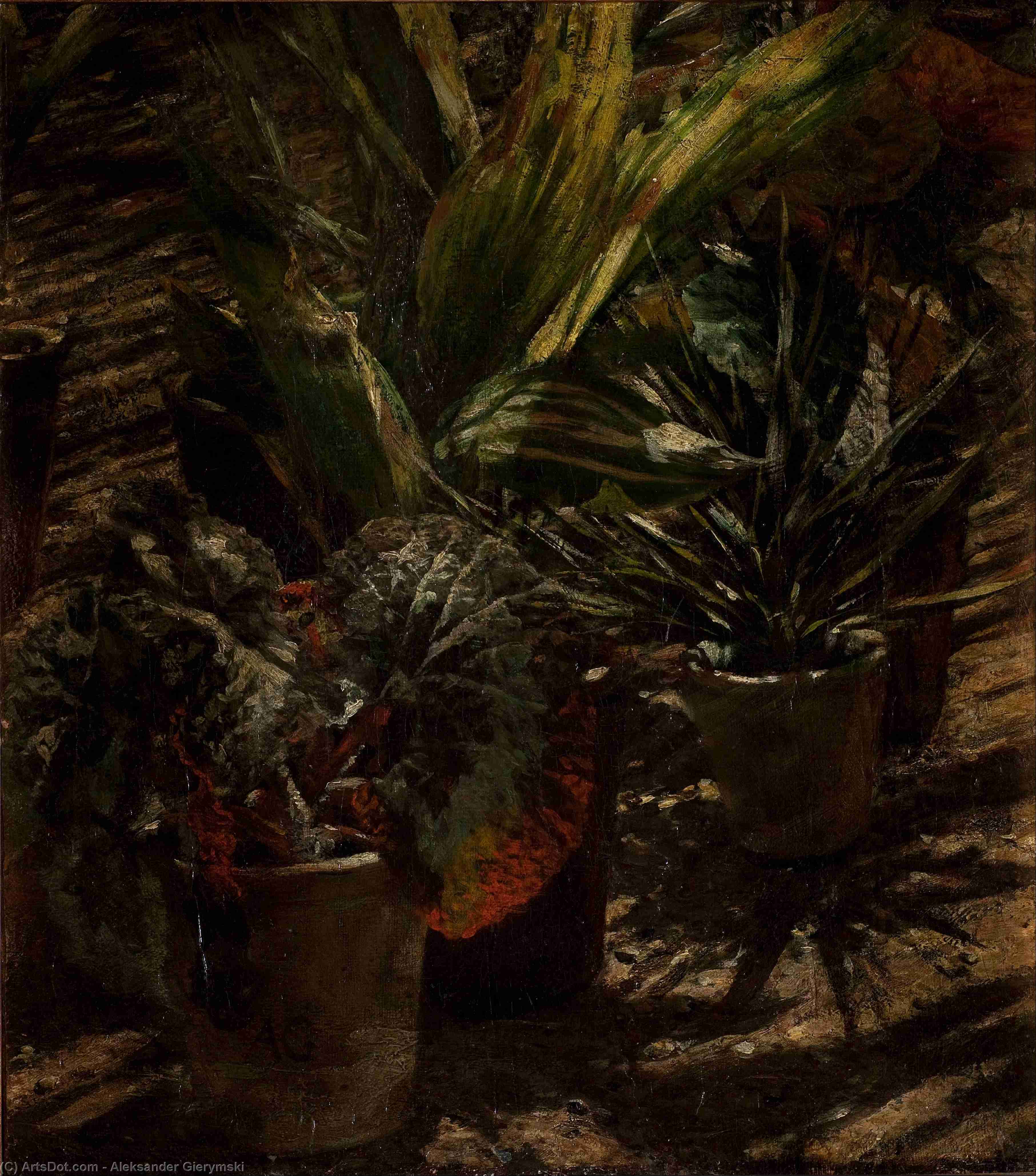 Begonie — Aleksander Gierymski