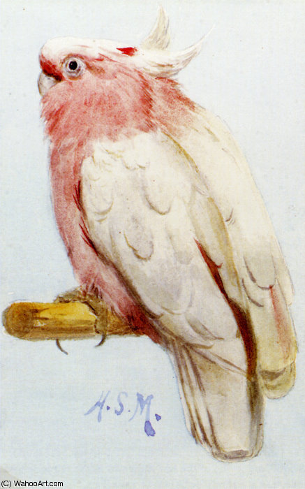 A Pair Of Leadbetter Cockatoos — Henry Stacy Marks