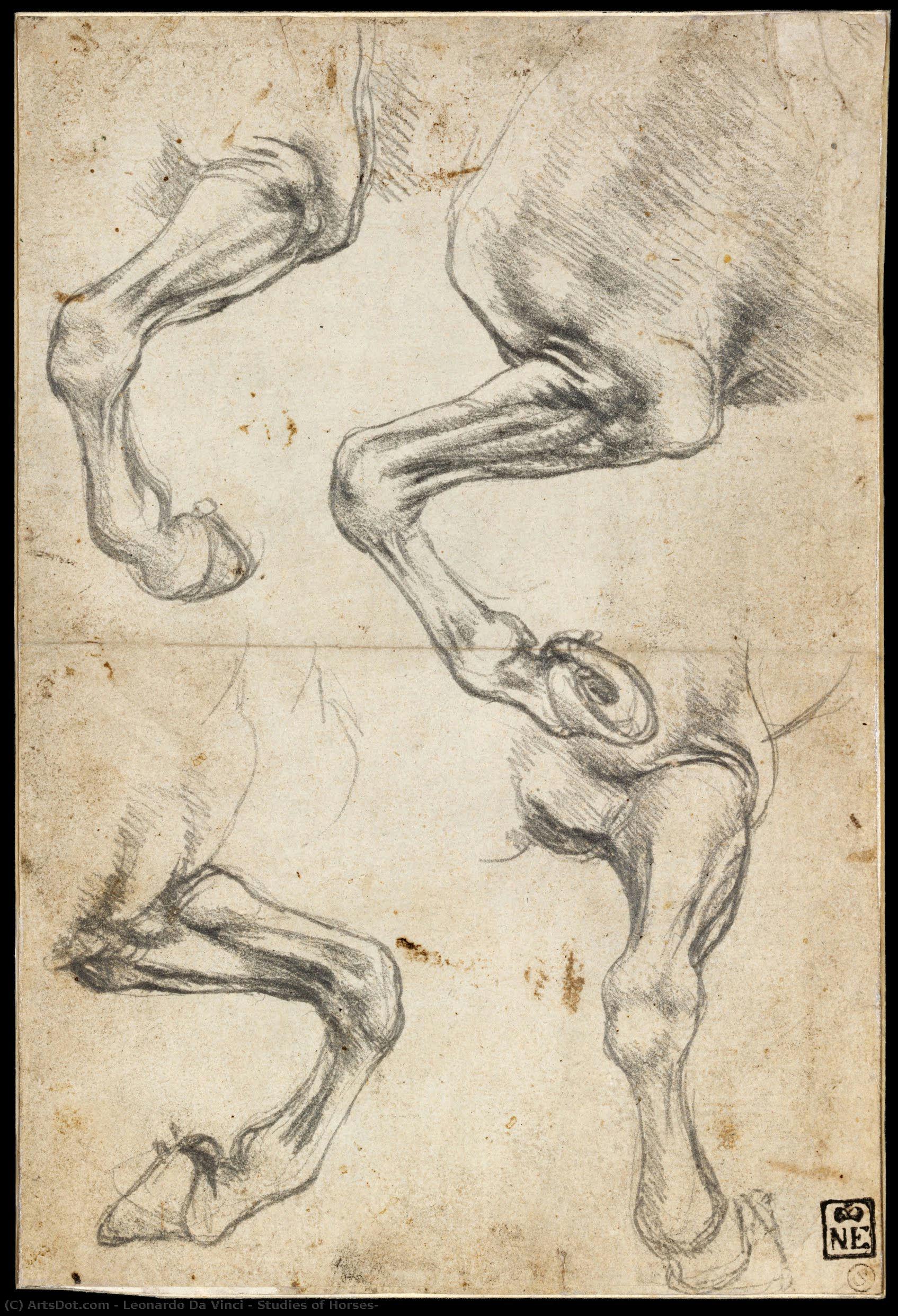 Studies Of Horses — Leonardo Da Vinci