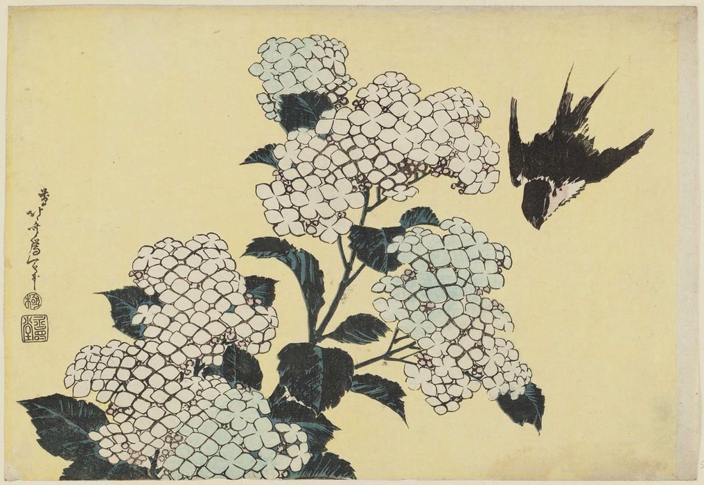 Hydrangeas And Swallow — Katsushika Hokusai