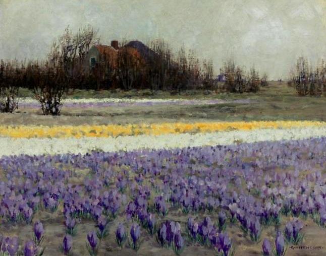 A Field Of Crocusses — George Hitchcock
