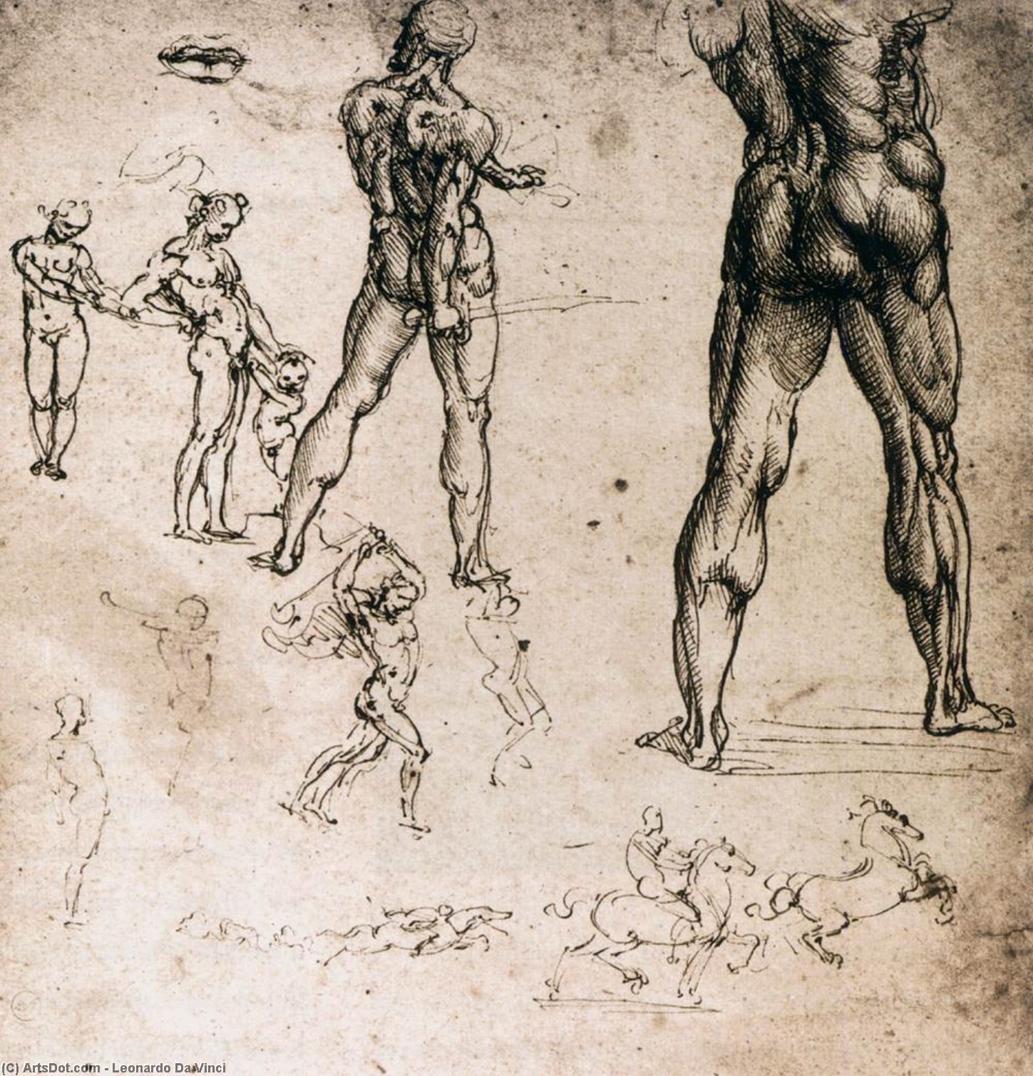 Estudios Figurativos — Leonardo Da Vinci