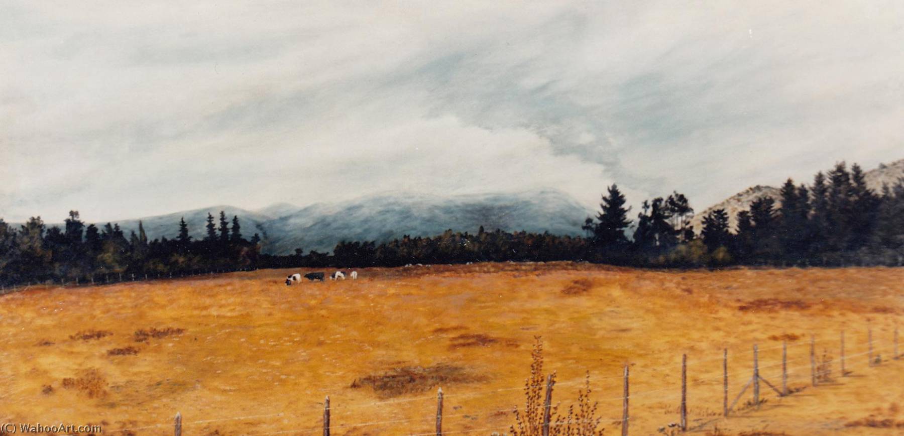 Untitled (aqre66) — Eugenio Cruz Vargas