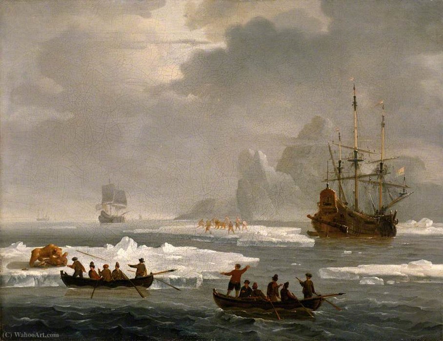 A Bear Hunt In The Arctic — Wigerus Vitringa