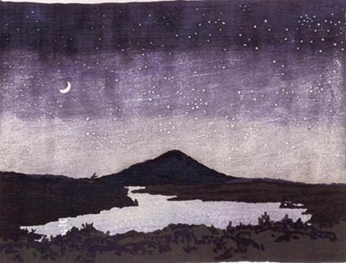 Night Scene — Nil Gevin Veliver