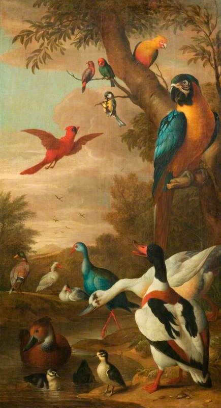 Farm Birds — Jakab Bogdány