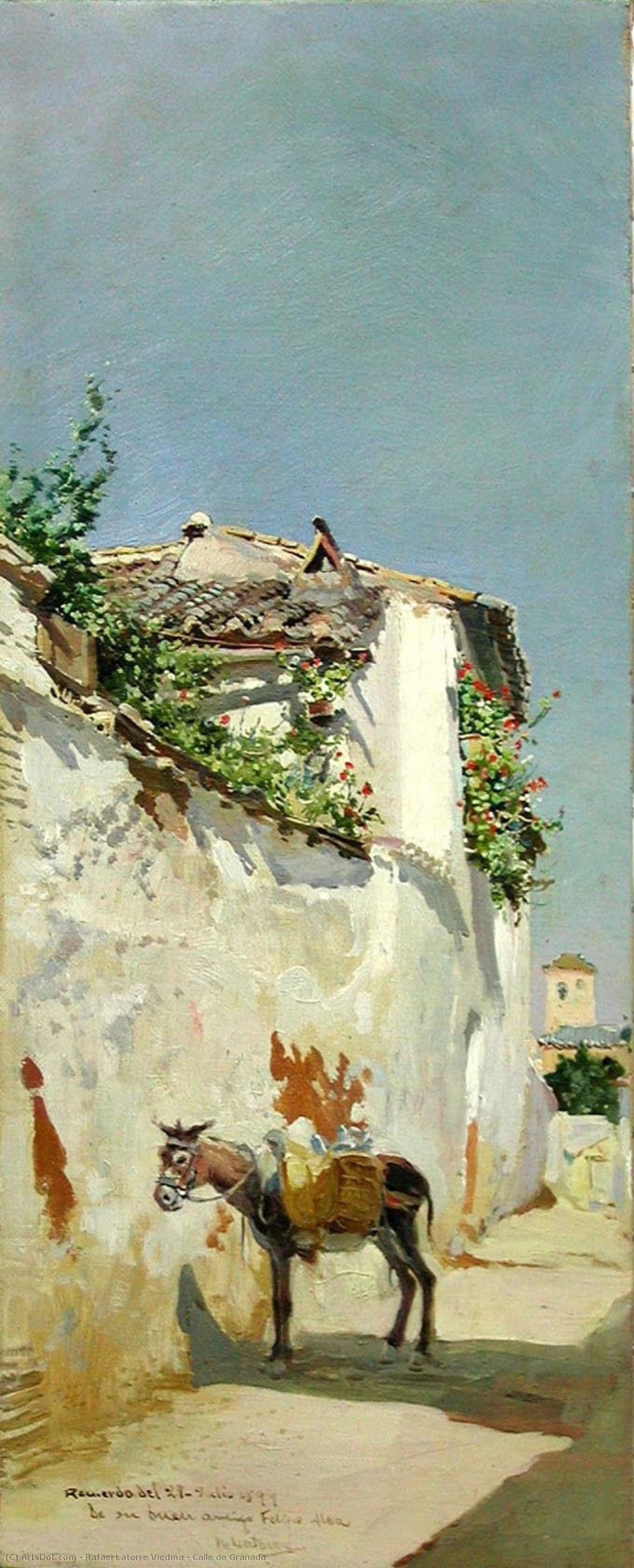 Calle De Granada — Rafael Latorre Viedma