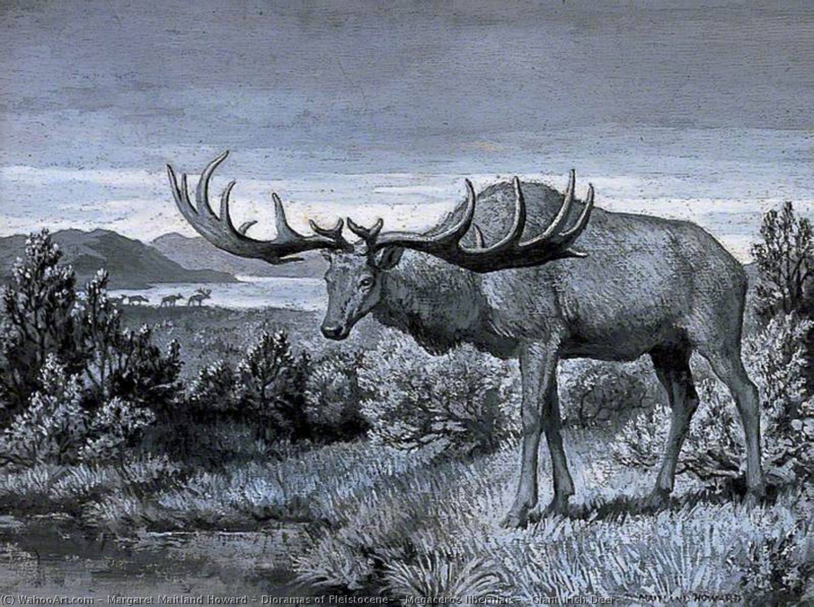 Dioramas Of Pleistocene, 'megaceros Liberniais' (giant Irish Deer) — Margaret Maitland Howard