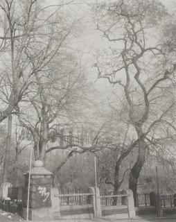 110th Street And Manhattan Avenue — Madoka Takagi