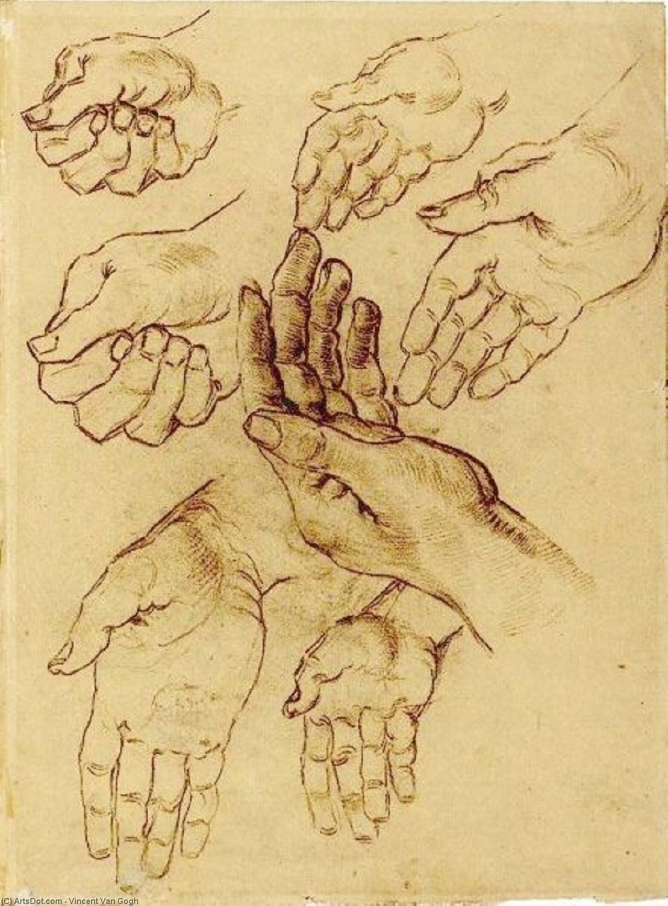 Study Sheet With Seven Hands — Vincent Willem Van Gogh