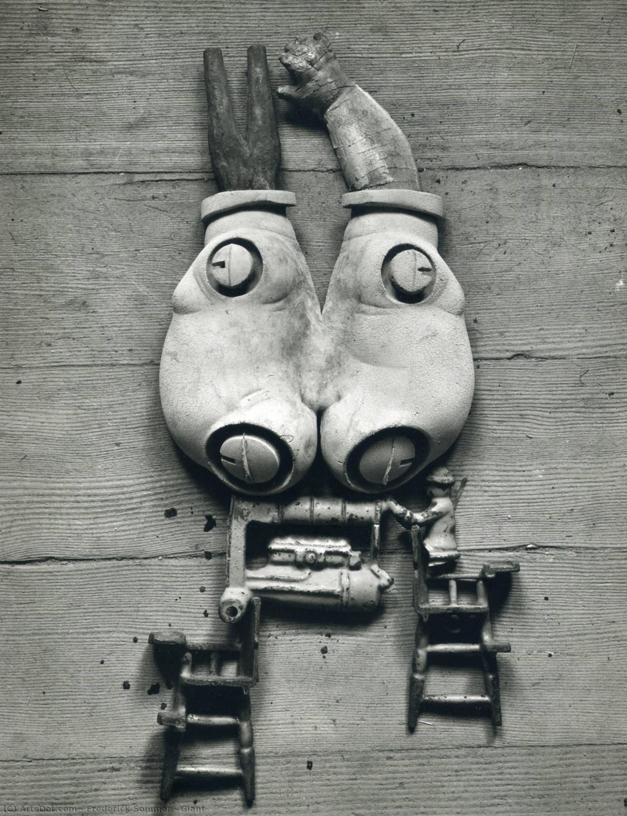 Giant — Frederick Sommer