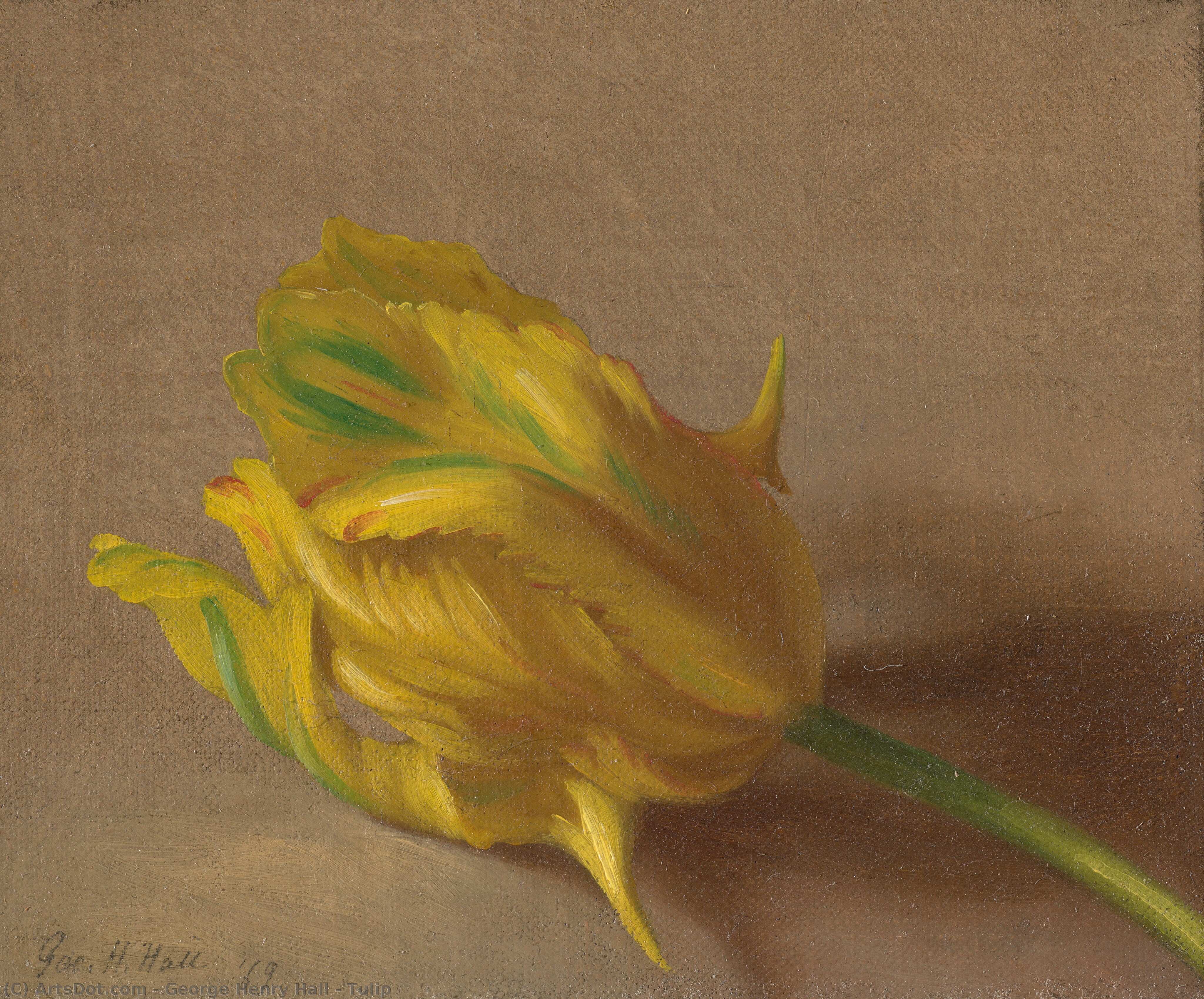 Tulip — George Henry Hall