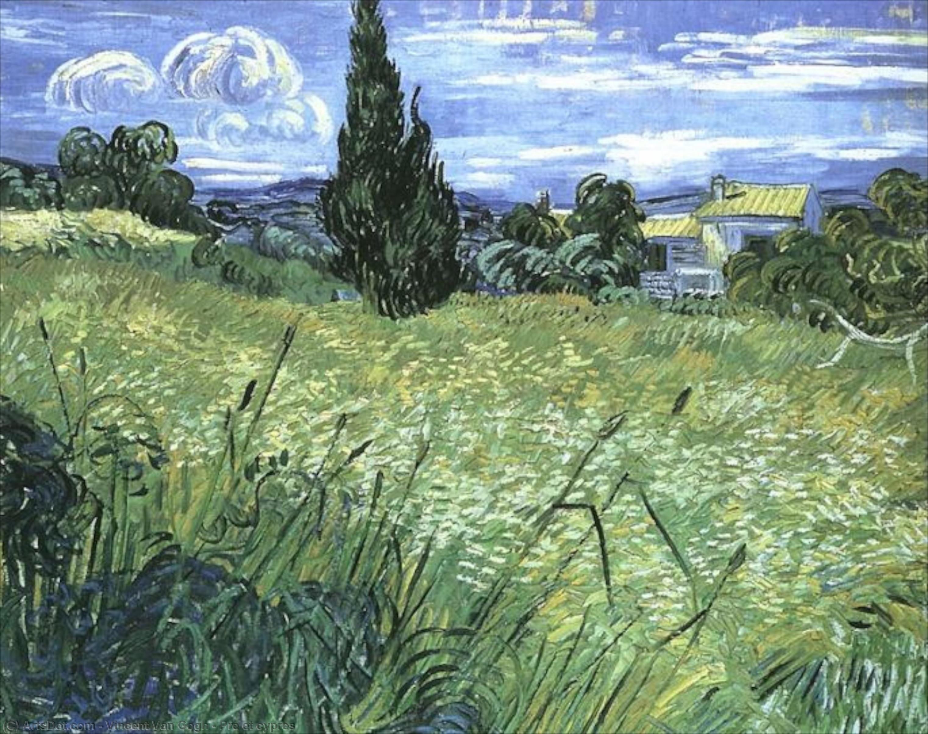 Pre Et Cypres — Vincent Willem Van Gogh