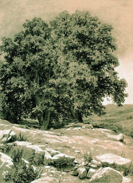 Crimean Nut-tree — Ivan Ivanovich Shishkin