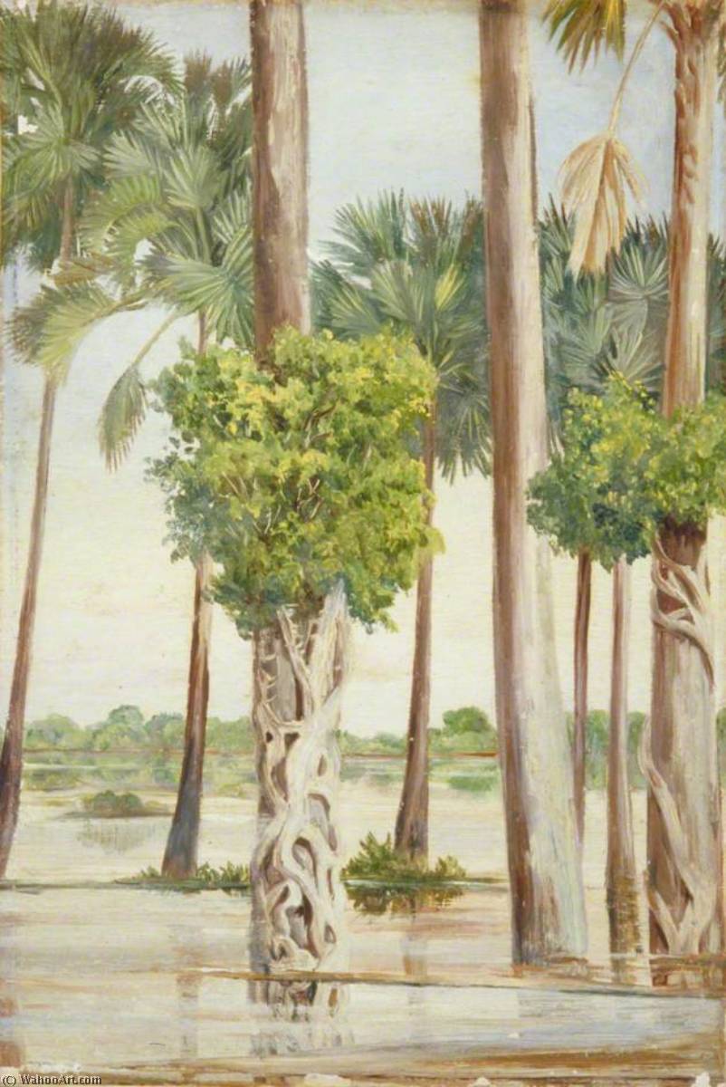 Palmyra Palms And Epiphytal Trees In Flood Time, Java — Marianne North