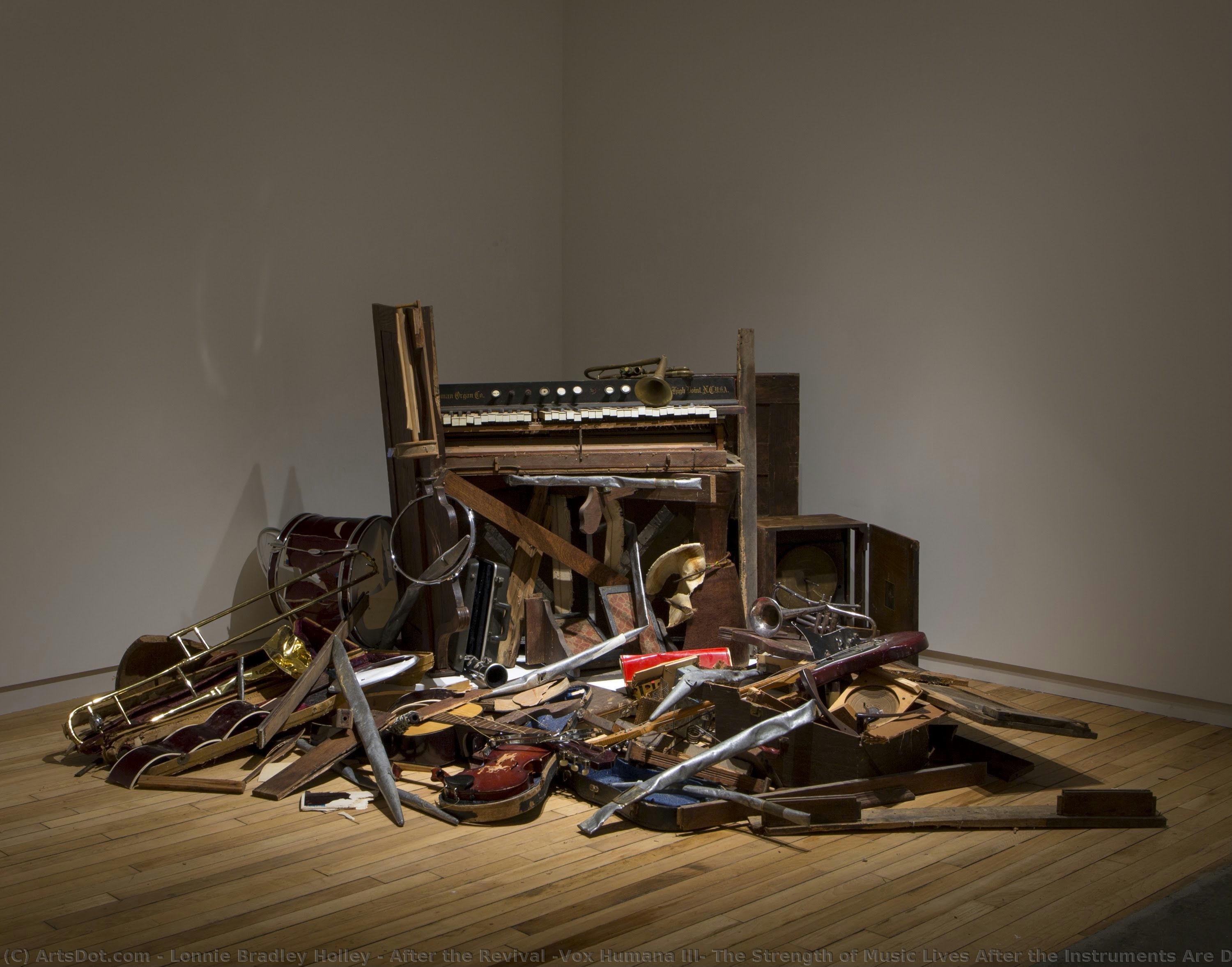Nach Dem Wiederaufleben (vox Humana Iii: Die Stärke Der Musik Lebt Nach Zerstörung Der Instrumente) — Lonnie Holley
