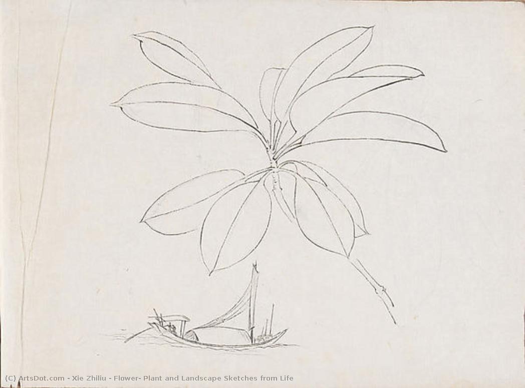 Flower, Plant And Landscape Sketches From Life — Xie Zhiliu