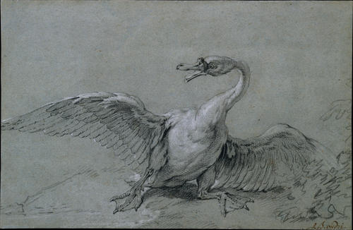 Angry Swan — Jean-baptiste Oudry