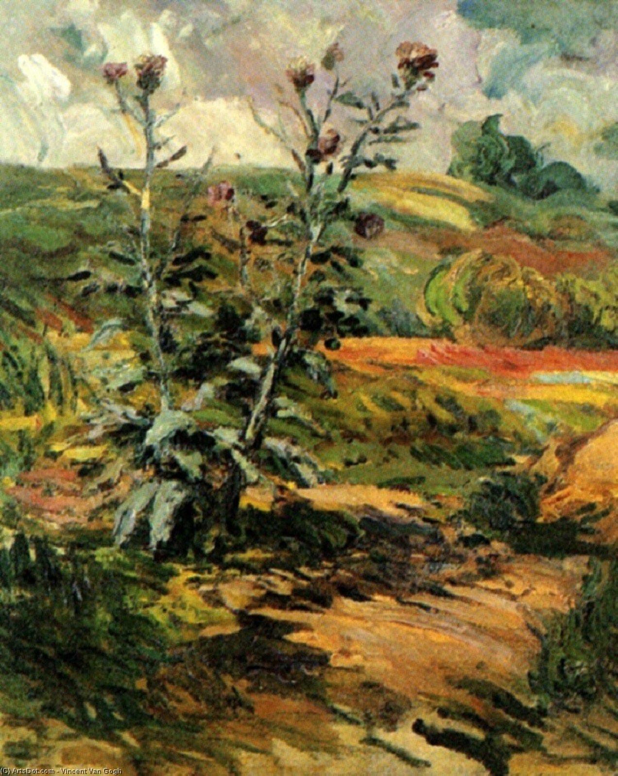 Dos Astrillos — Vincent Willem Van Gogh