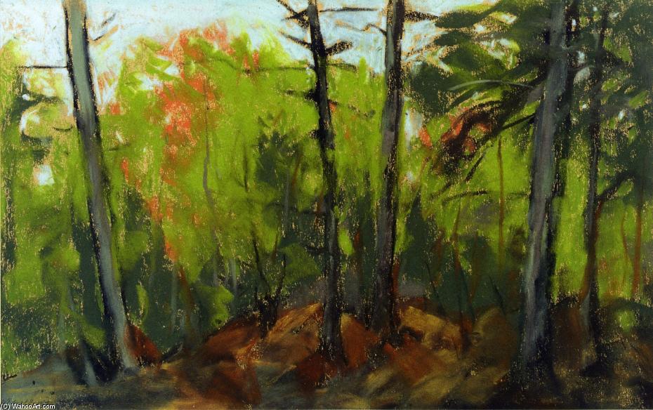 Woodland Scene, Monhegan, Maine — Robert Henri