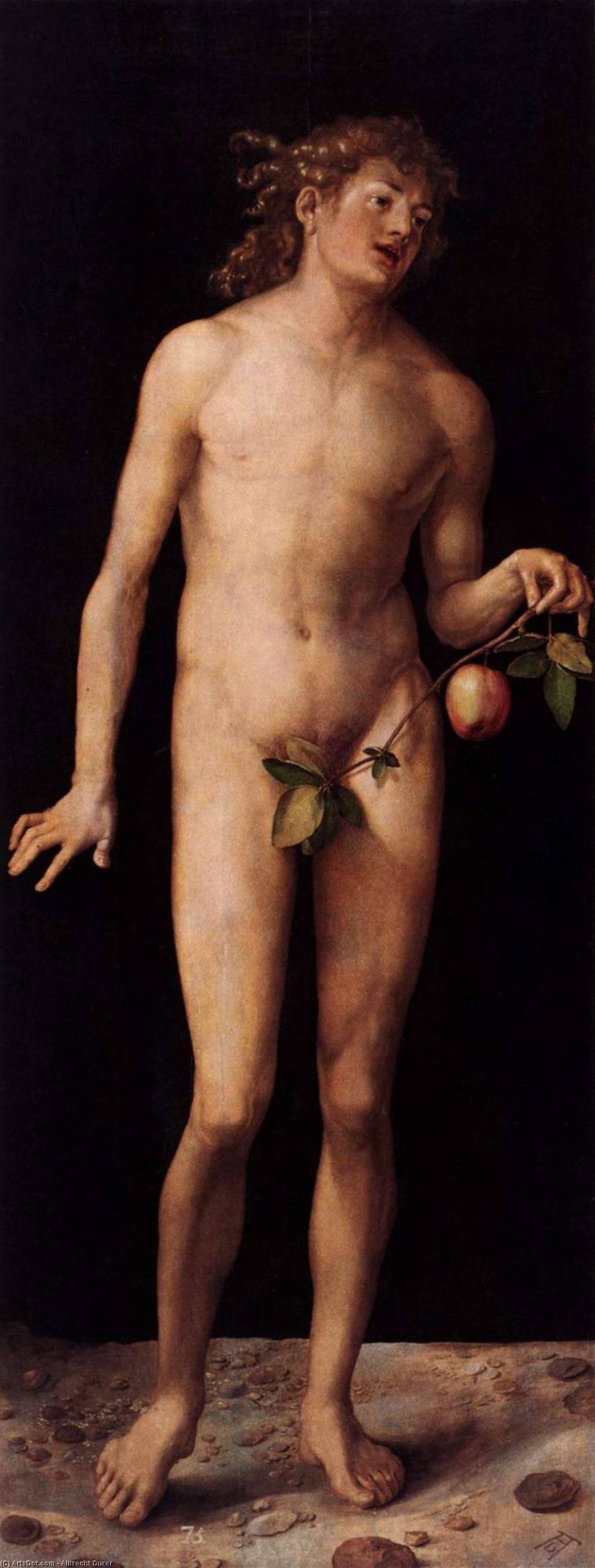 Adam — Альбрехт Дюрер