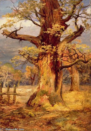Blasted Oak — James Hardy Junior