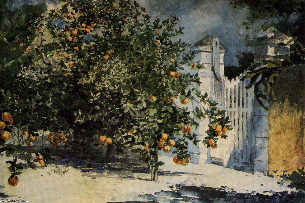 Orange Tree, Nassau — Винслоу Хомер