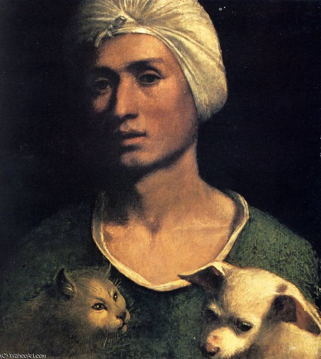 Portrait Of A Young Man With A Dog And A Cat — Dosso Dossi (giovanni Di Niccolò De Luteri)