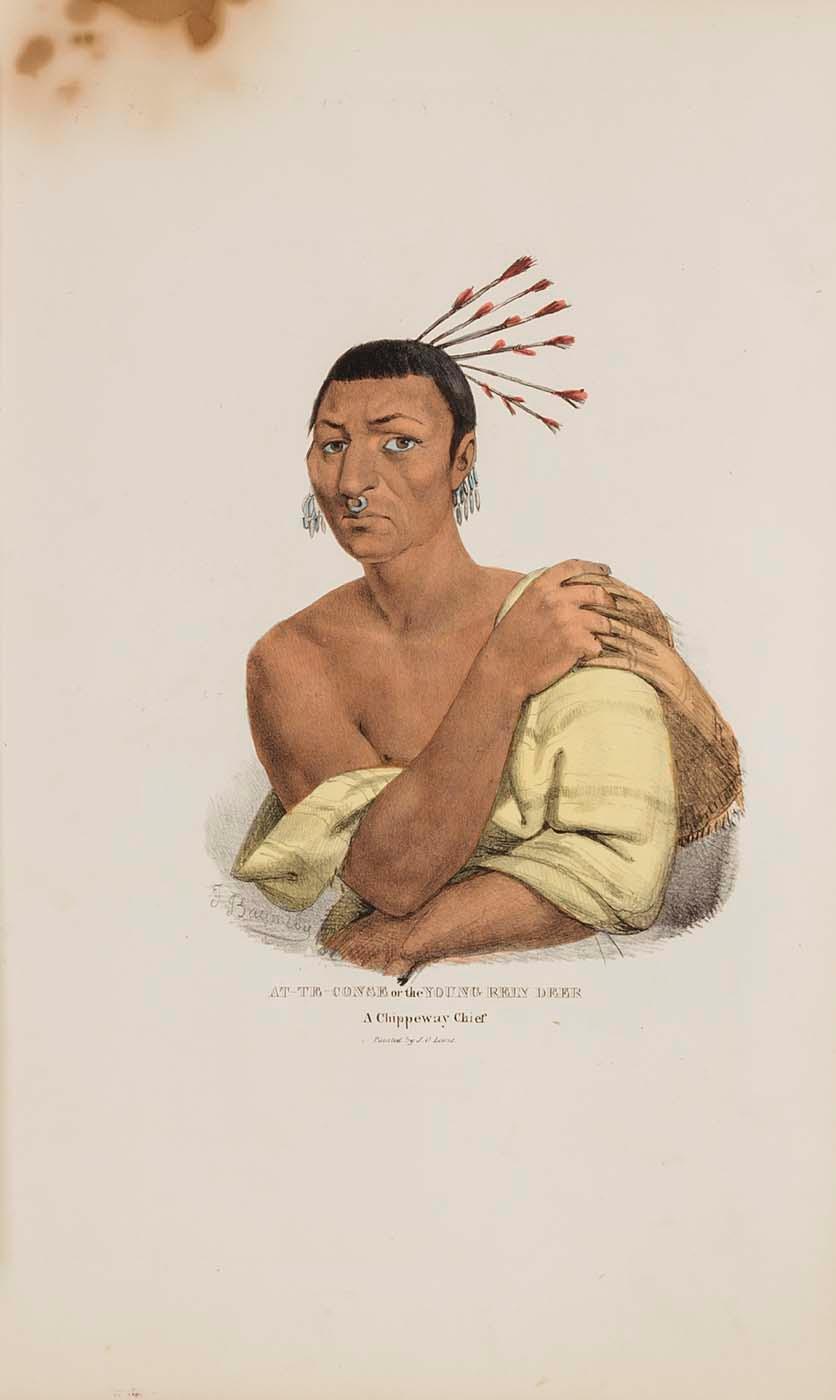 At Te Conse Or The Young Rein Deer A Chippeway Chief, From The Aboriginal Portfolio — James Otto Lewis