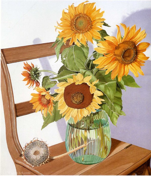 Untitled (440) — Sondra Freckelton