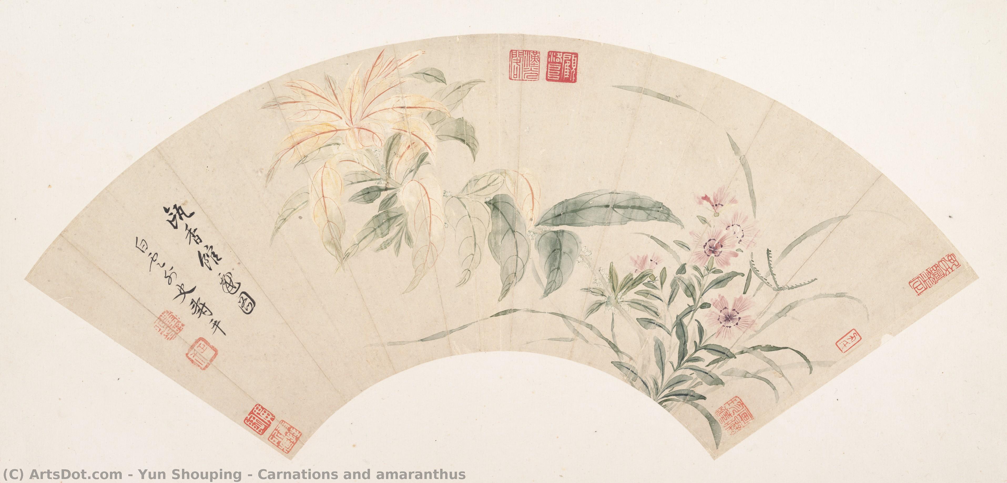 Carnations And Amaranthus — Yun Shouping