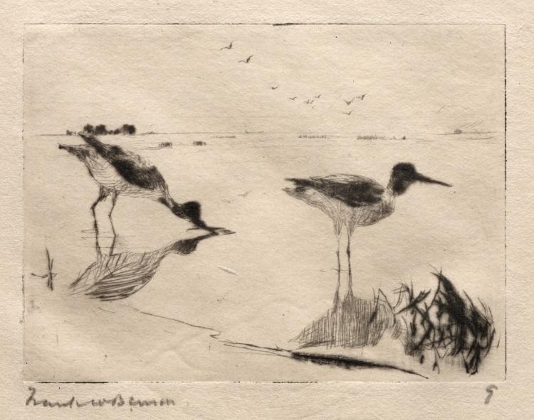 Pair Of Yellowlegs — Frank Weston Benson