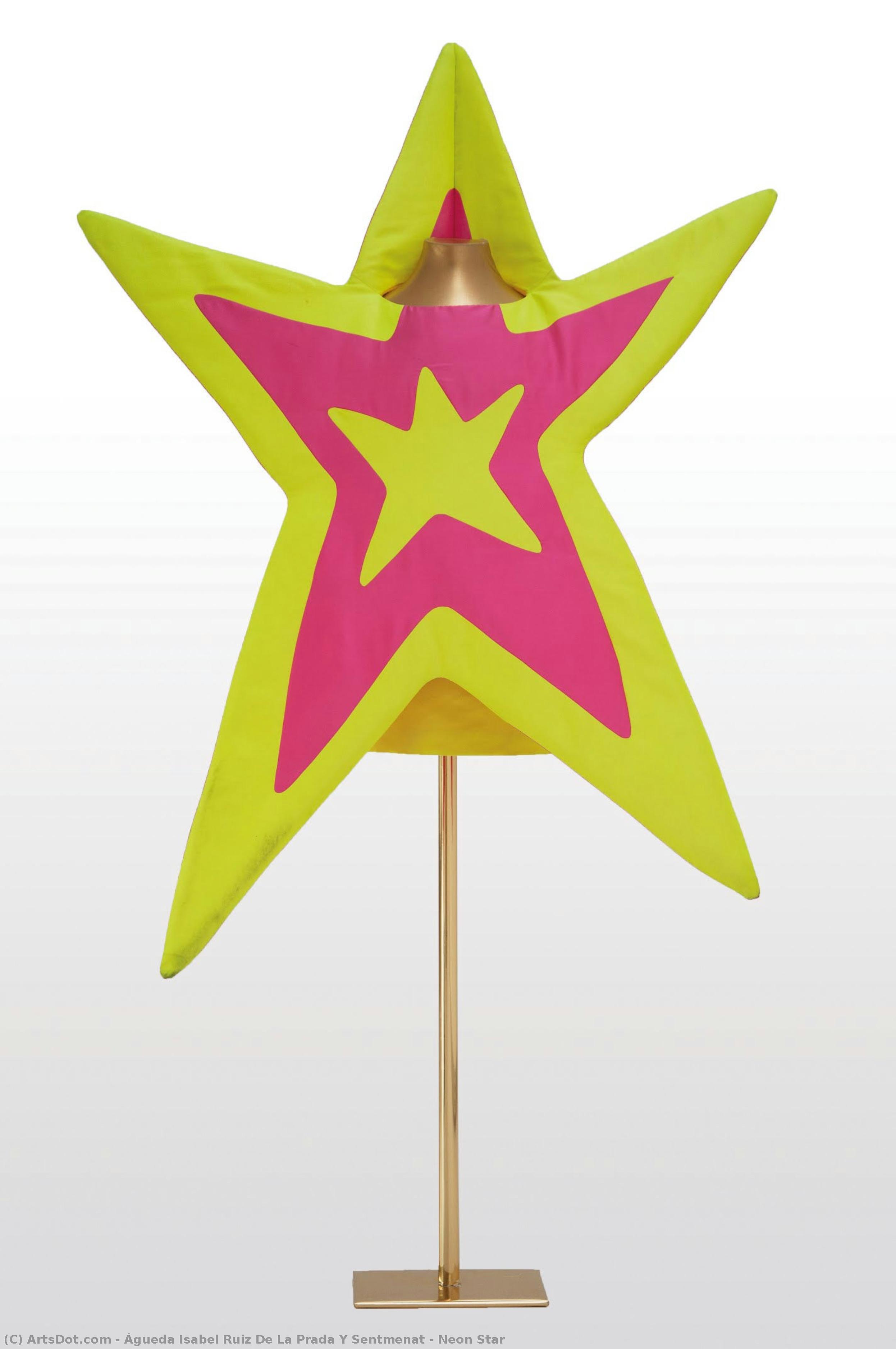 Neon Star — Águeda Isabel Ruiz De La Prada Y Sentmenat