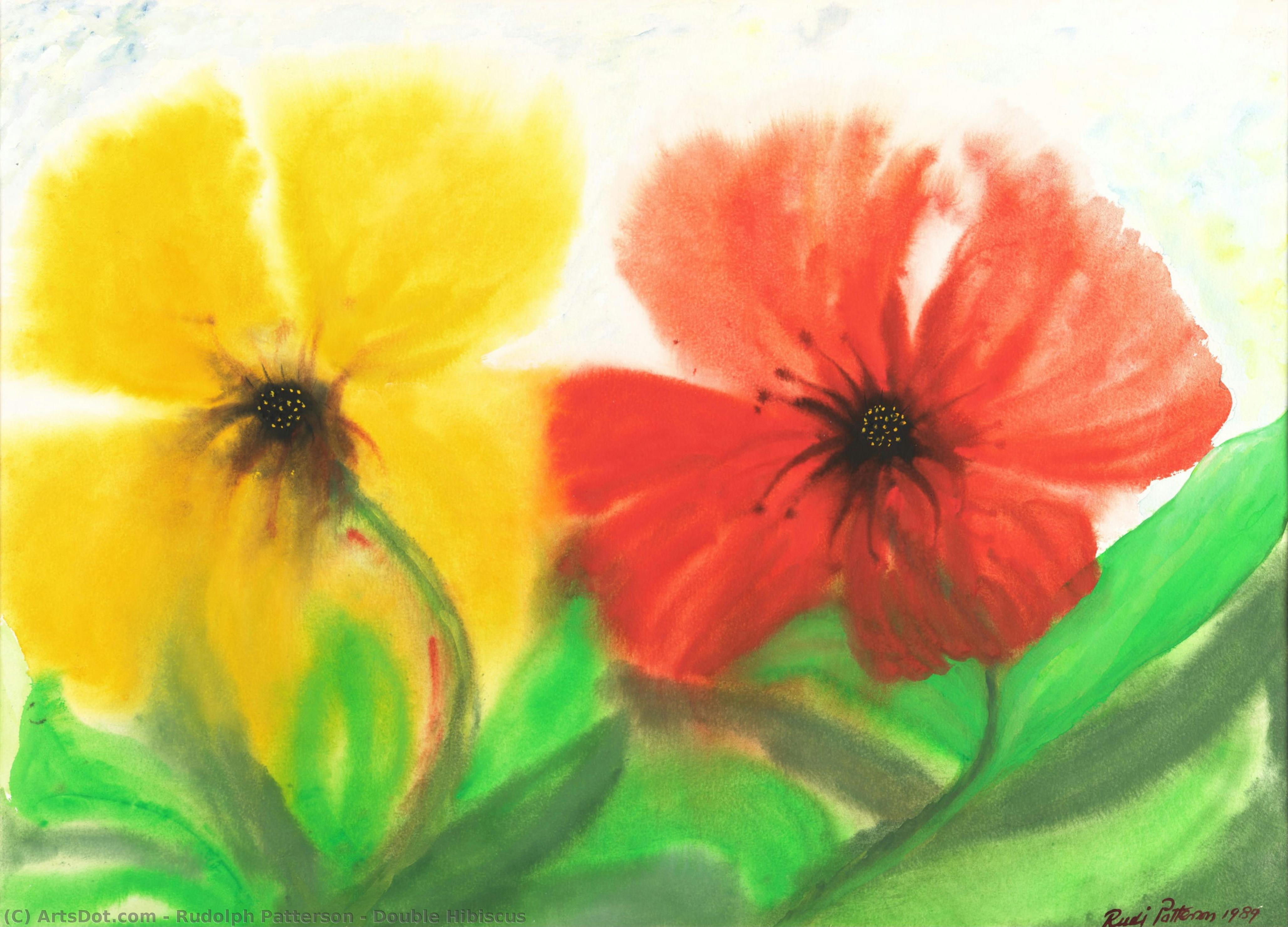 Double Hibiscus — Rudolph Patterson