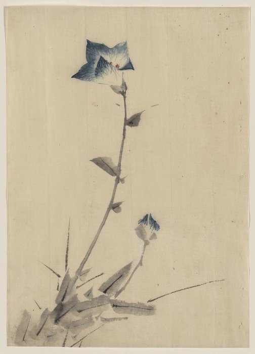Blue Flower Blossom And Bud At The End Of A Stalk — Katsushika Hokusai