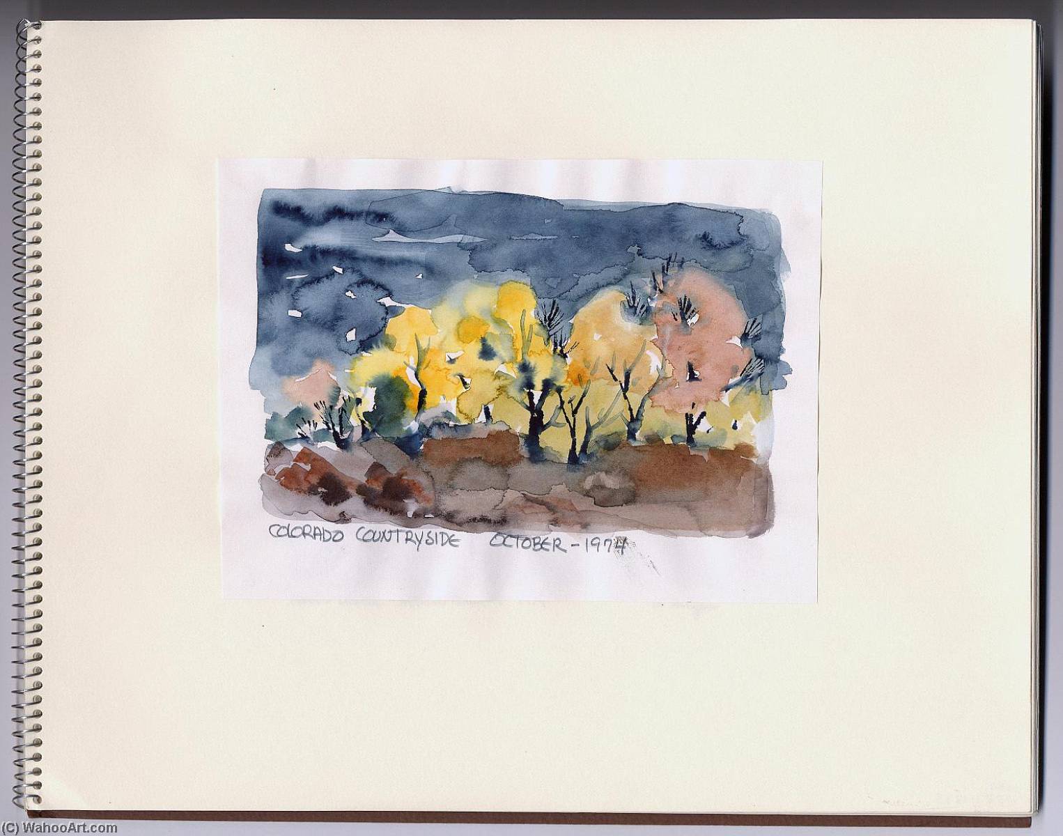 Colorado Countryside — Dale Meyers