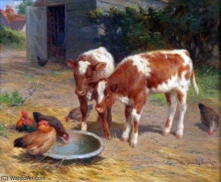 Farmyard Scene With Calves And Chickens Drinking From A Bowl — Claude Cardon