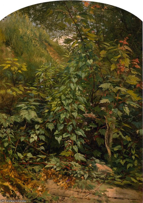 Leaf Study With Yellow Swallow Tail — Aaron Draper Shattuck