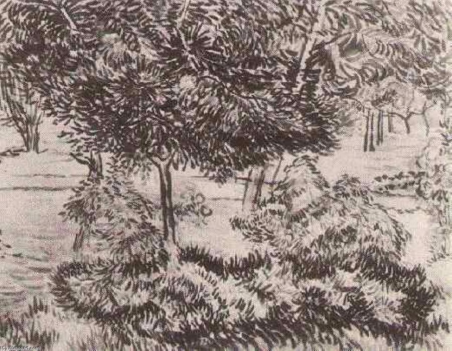 Trees And Shrubs — Vincent Willem Van Gogh