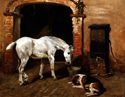 Grey Drinking From A Pail — John Emms
