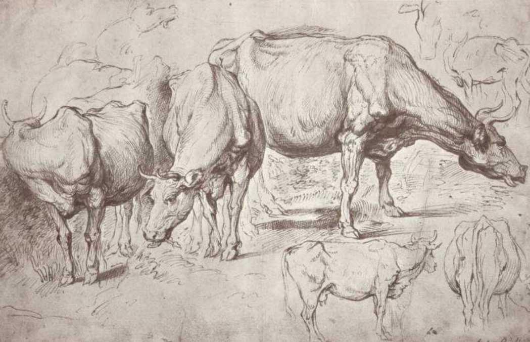 Cows — Peter Paul Rubens