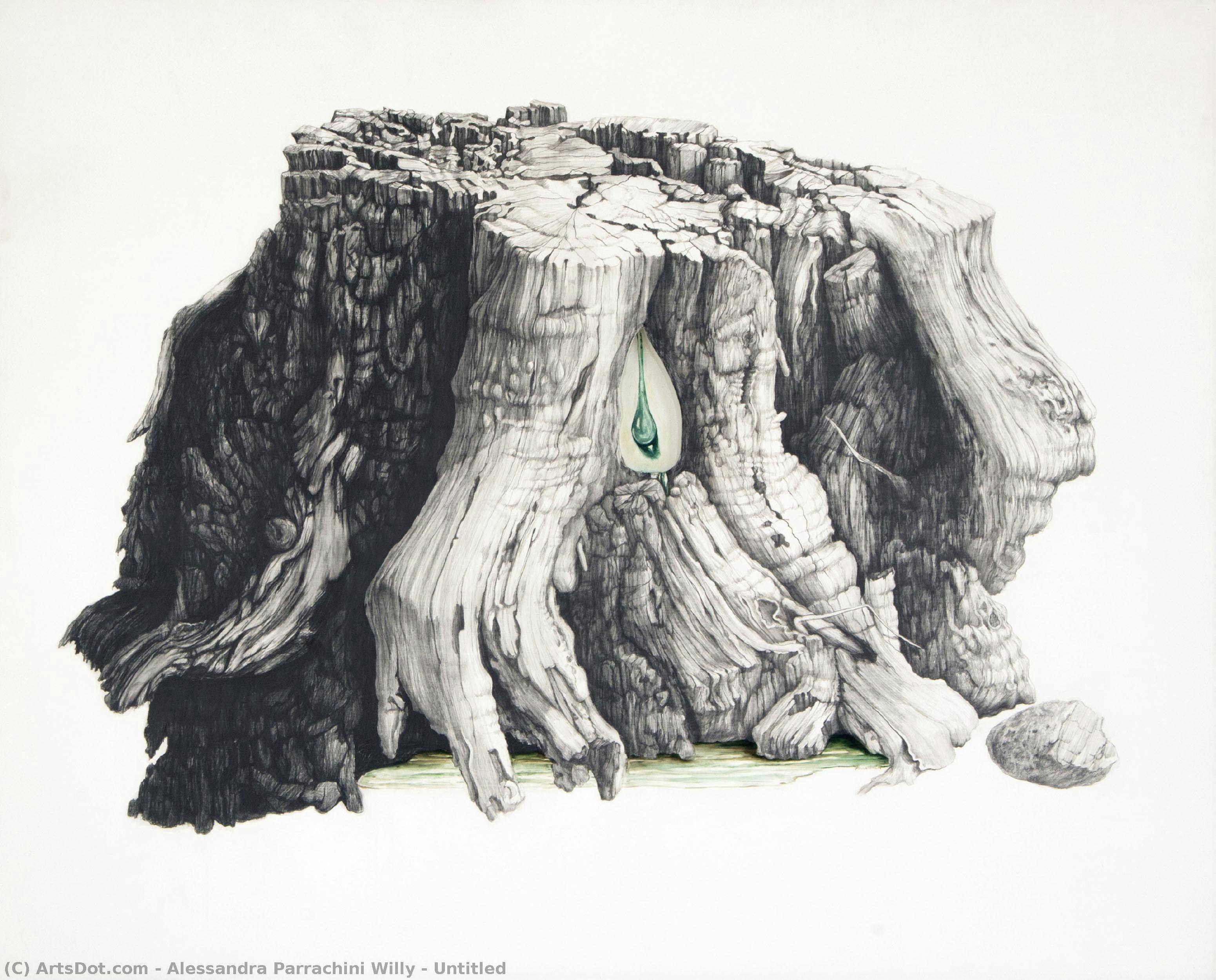 Untitled — Alessandra Parrachini Willy