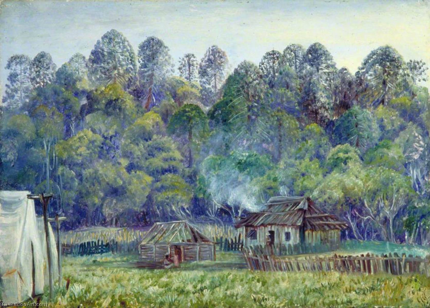 Unser Lager In Den Bunya Mountains, Queensland — Marianne North