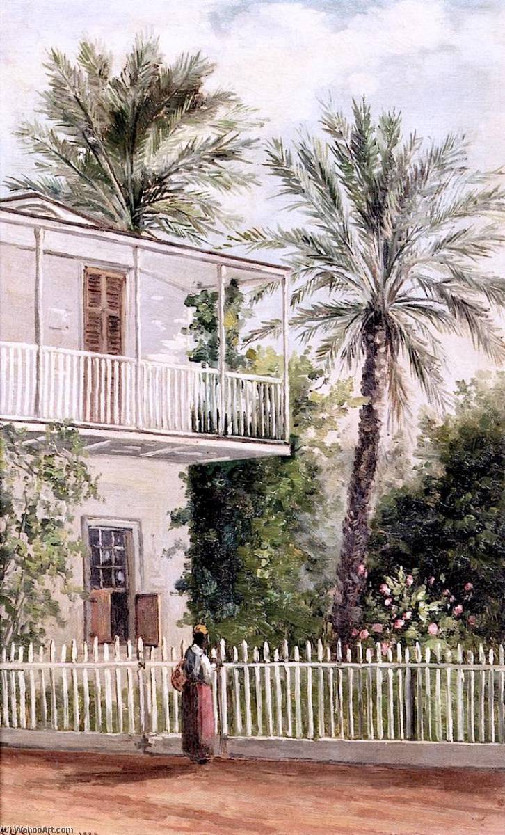 Dr. Peck's Palm Trees, St. Augustine, Fla — Frank Henry Shapleigh