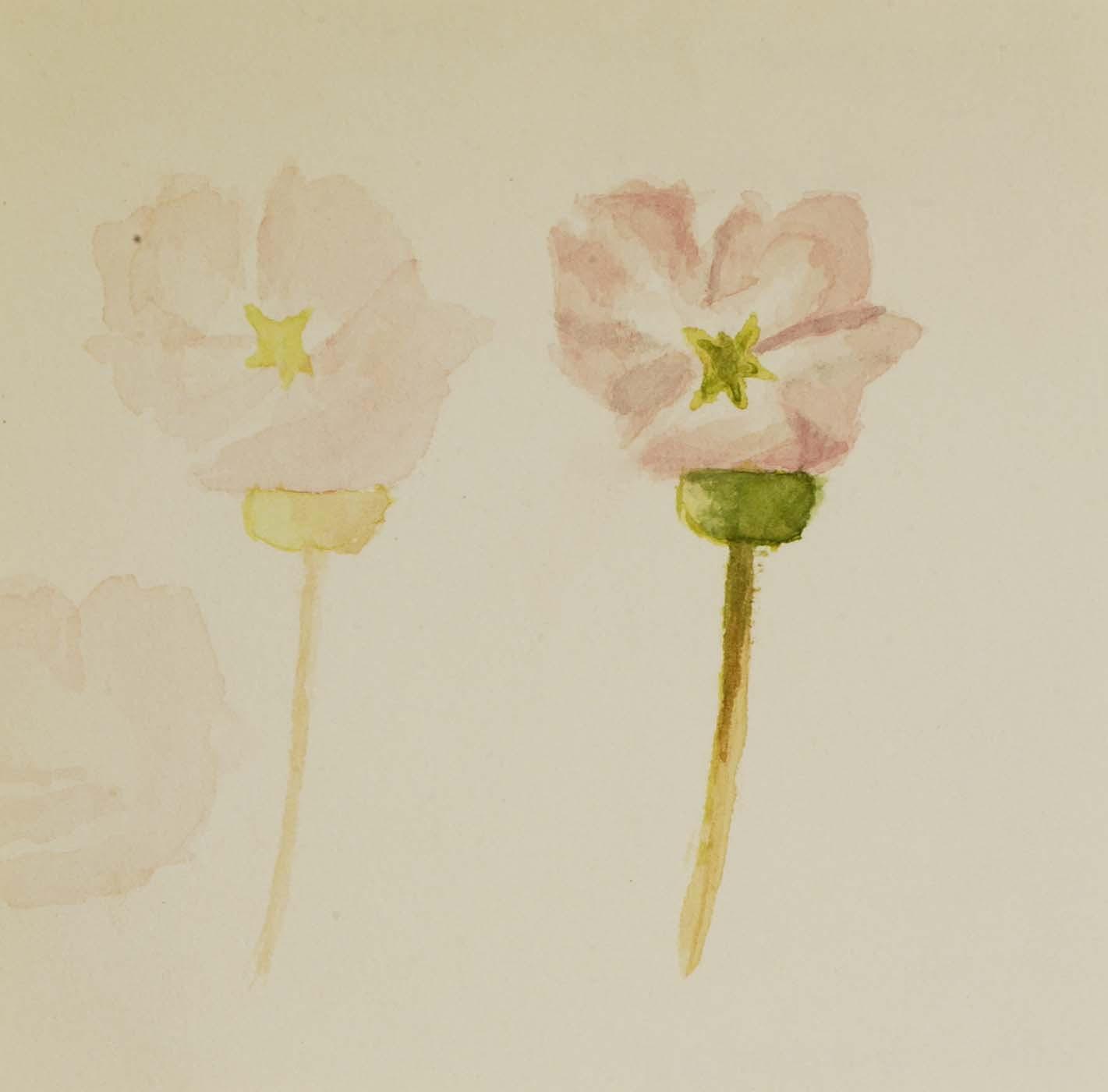 My First Painting — Mary Morris Vaux Walcott